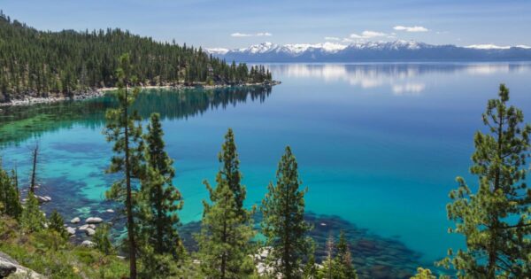 Tech Cellution South lake​